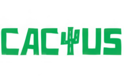 Cactus Casino