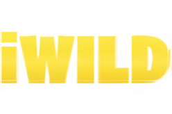 iWild Casino