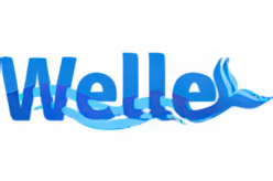 Welle Casino