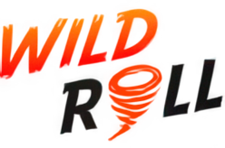 WildRoll Casino