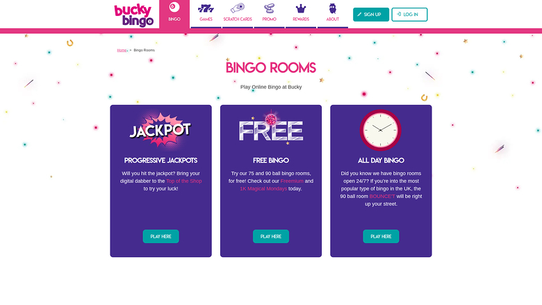 Bucky Bingo — Bingo