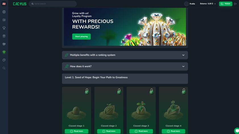 Cactus Casino — VIP section
