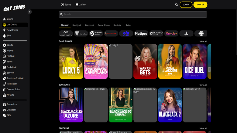 Cat Spins Casino — Catspins livedealer