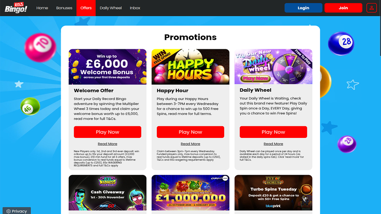 Daily Record Bingo — Promotions page