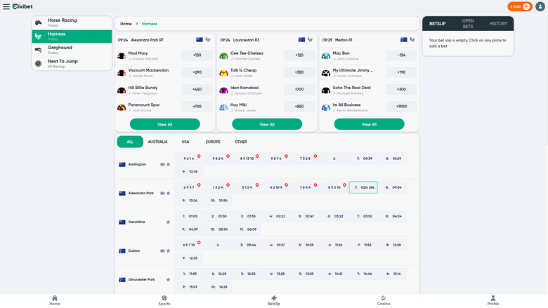 Ivibet Casino — Racing