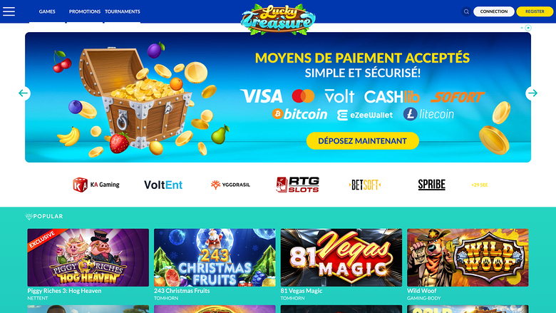 A casino homepage with a payment-methods banner, provider logos and a Popular games row.