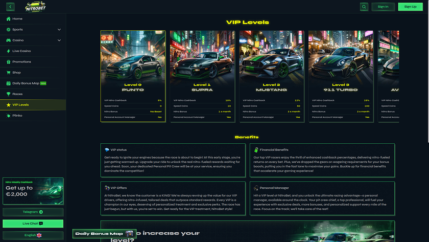 Nitrobet Casino — VIP section