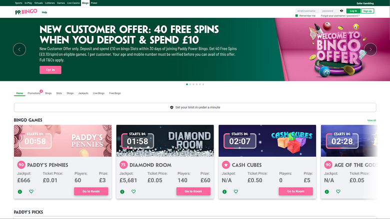 Paddy Power Casino — Bingo