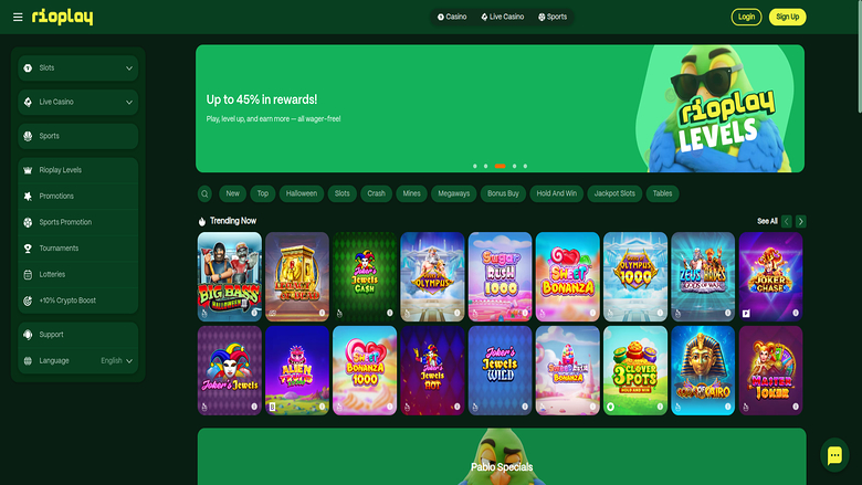 Rioplay Casino — Homepage