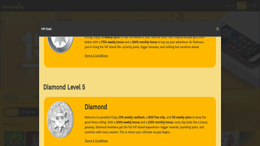 Sunnyspins Casino — VIP section