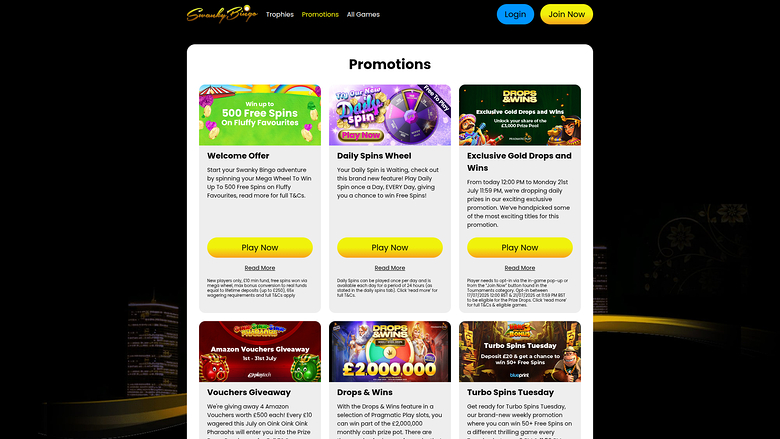 Swanky Bingo — Promotions page