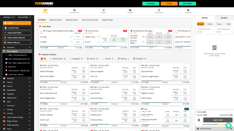 TigerGaming Casino — Sportsbook