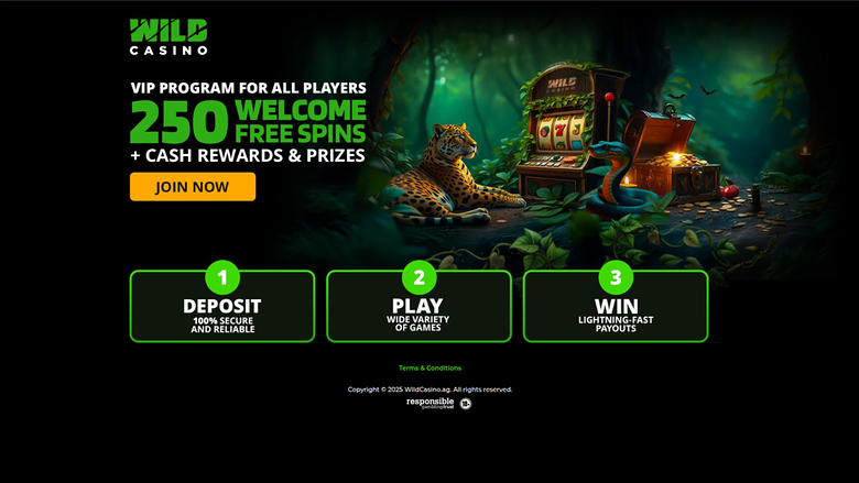 Wild Casino — Promotions page