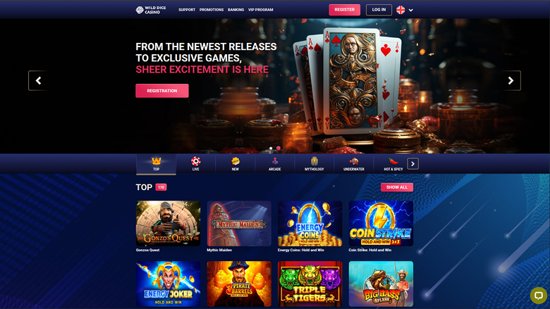 A desktop online casino homepage for Wild Wild Games showing a promotional hero banner and a Top games grid.