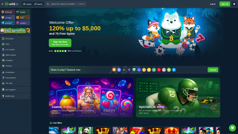 A desktop online casino homepage showing a welcome bonus hero, a deposit payment strip, casino and sportsbook category cards, and a row of live win thumbnails.