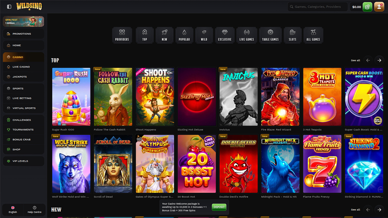 A desktop online casino lobby page for Wildsino showing a 'TOP' grid of game tiles beneath a category menu and a left sidebar.