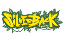 Silverback Gaming