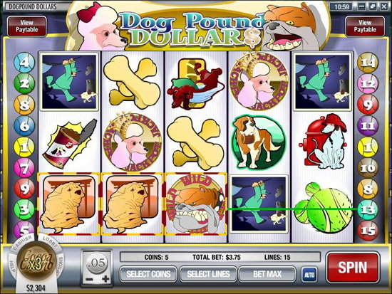 dog pound slot