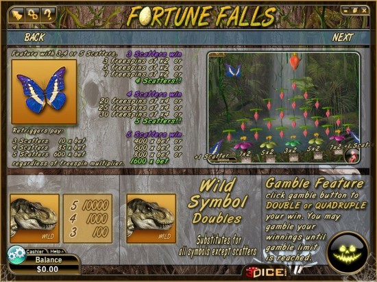 fortune falls video slot