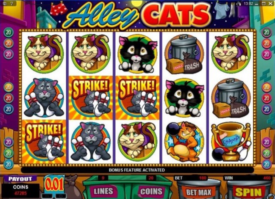 alley cats slot machine