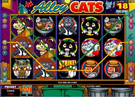 alley cats video slot