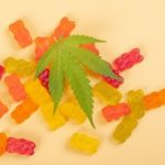 Group logo of CBD Gummies Are the New Anxiety Cure Everyone’s Buzzing About